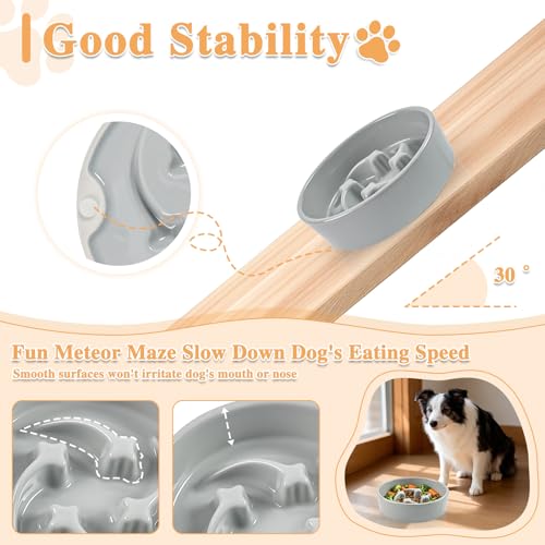 Ceramic Slow Feeder Dog Bowls (Grey-M)