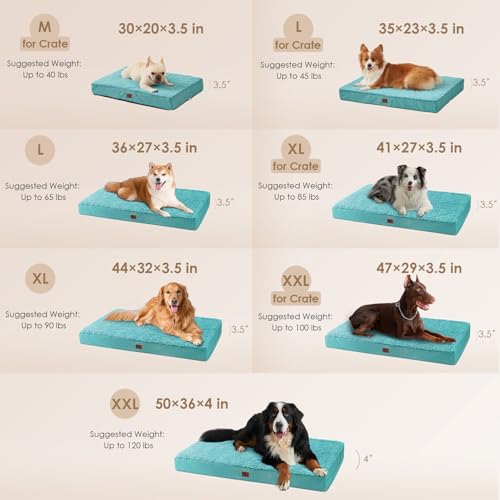 Orthopedic Dog Bed Extra Large with Removable Washable Cover (50*36*4 inches / Turquoise Blue)