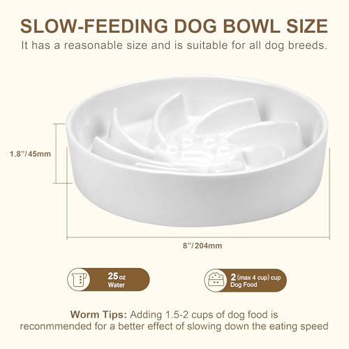 Ceramic Slow Feeder Dog Bowl (White)