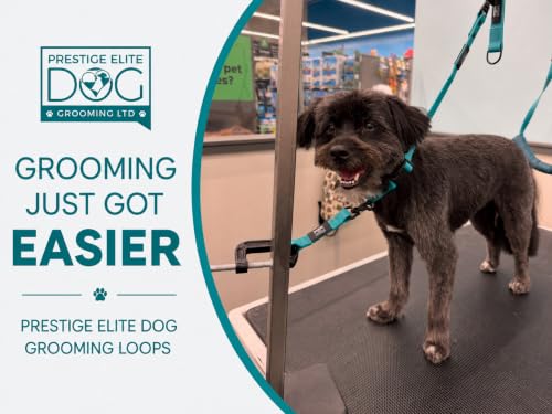 Dog Grooming Loop (Teal Green)