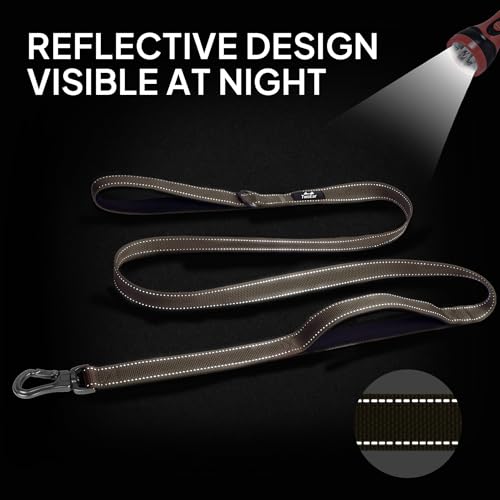 4FT 1IN Heavy Duty Dog Leash for Large Dogs with 2 Padded Handles (Brown / 1 in x 4 ft)