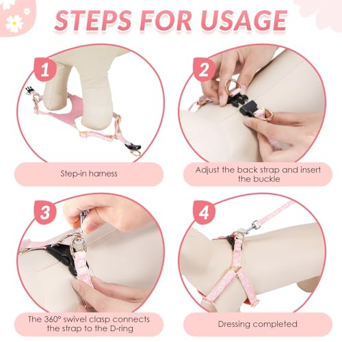 No Pull Dog Harness with Leash for Small Medium Dogs (XX-Small(2.2-6lb) / Pink Daisy)