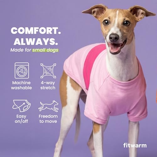 3 Pack Color Block Striped Dog Shirt (X-Large / Pink-Orange-Purple)