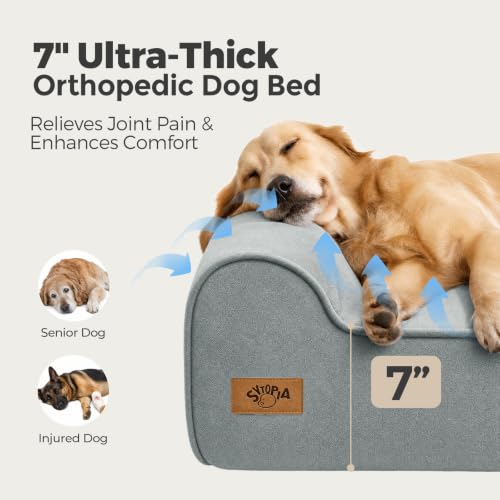 XXL 35D Memory Foam Dog Bed for Extra Large Dogs (XX-Large / Light Blue)