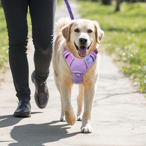 Dog Harness for Large Dogs No Pull Dog Vest ID Tag Pocket (Lavender Sky / X-Large)