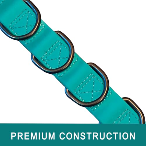 Dog Grooming Loop (Teal Green)