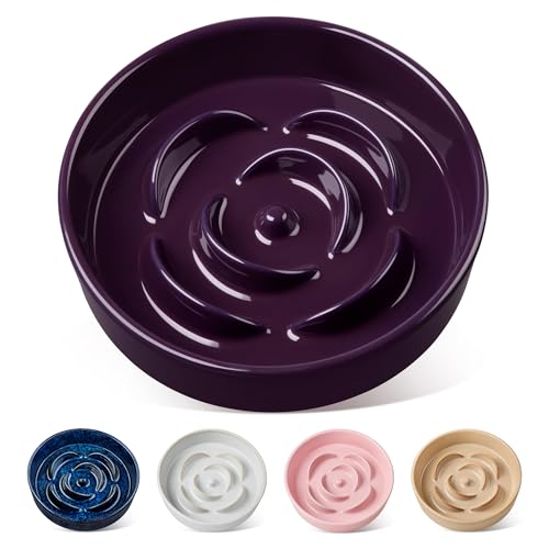 Slow Feeder Dog Bowl (M - 1.5 Cups / Dark Purple)