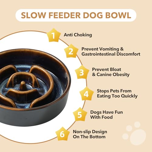 Raised Slow Feeder Dog Bowls (2 x Starry Sky + Stand - A / S- 6.1inch / 0.9 Cups)