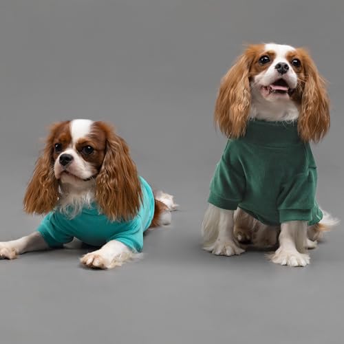 3 Pack Fleece Dog Sweater (X-Large / Dark Green-Aqua Green-Bean Green)