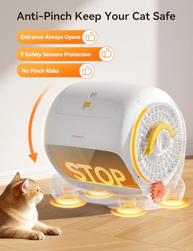 Self Cleaning Cat Litter Box