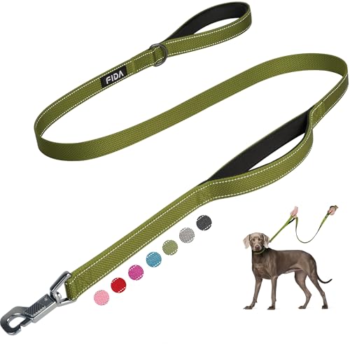 Heavy Duty Dog Leash for Medium Large Dogs (4 Feet (Pack of 1) / Green)