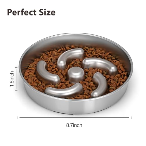 Slow Feeder Dog Bowl