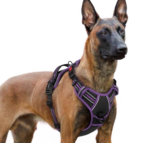Dog Harness for Large (X-large / Black & Purple)