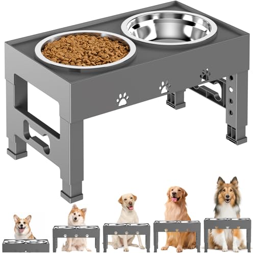 Elevated Dog Bowls with 2 Stainless Steel Bowls (For Medium Large Dogs / Gray)