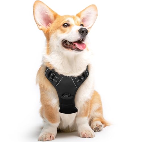 Dog Harness for Medium Sized Dogs (Medium / Black)