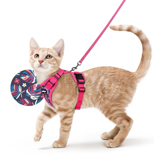 Cat Harness and Leash Set (S / Coconut Fuchsia)