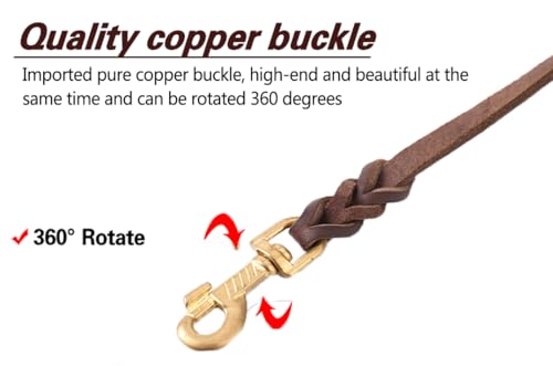 Leather Dog Leash (4ft x 1/2 inch / Brown)