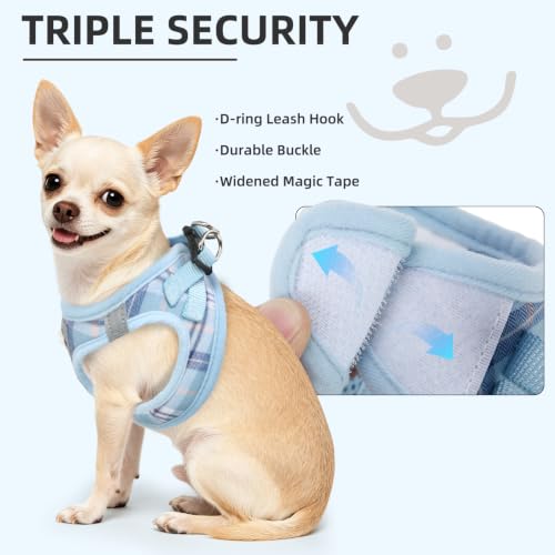 Dog Harness Collar and Leash Set No Pull for Small Medium Sized (Blue / M (CHEST 16"-18"))