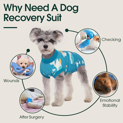 Dog Recovery Suit (Cloud Blue / Medium)