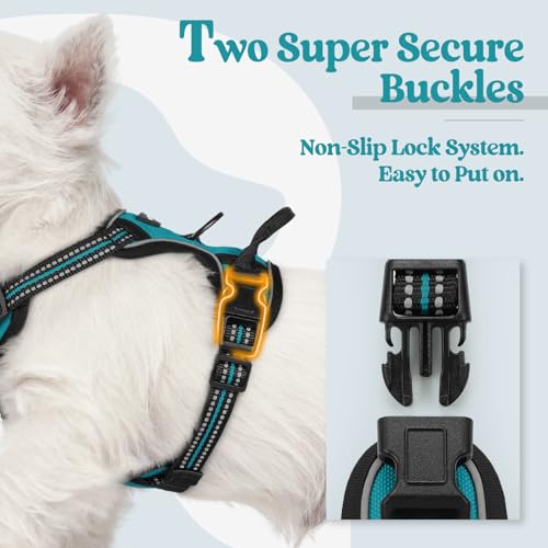 Dog Harness No Pull with 2 Leash Clips (X-Small / Teal)