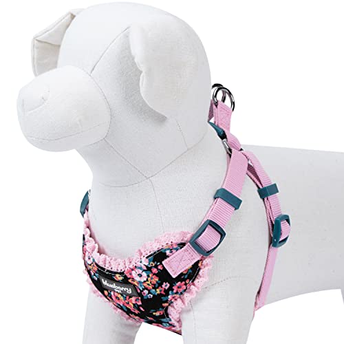 Soft & Comfy Made Well Elegant Floral No Pull Mesh Puppy Dog Harness Vest in Sleek Black ((14" - 16") Chest Girth (Pack of 1) / Sleek Black)