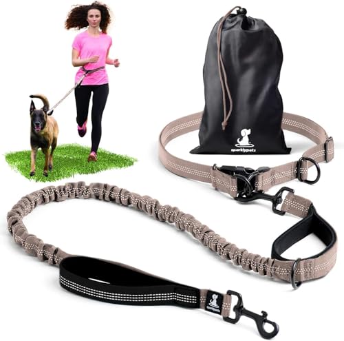 Hands Free Dog Leash (Brown / 1 dog M/L)
