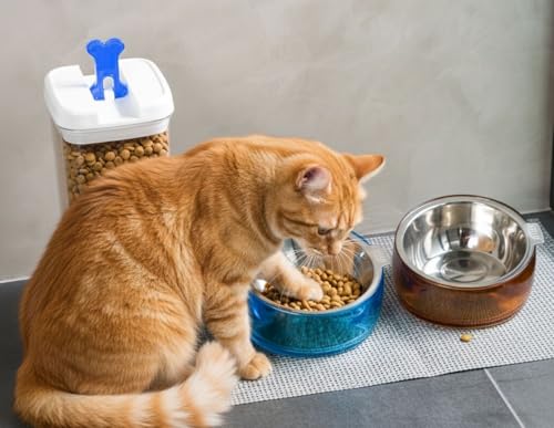 Pet Oblik Whisker Fatigue Cat Food Bowl Raised Stainless Steel Shallow Dish (Sapphire / 0.5 Cups Shallow Dish)