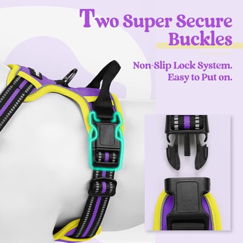 Dog Harness No Pull Medium Sized with 2 Leash Clips (Medium / Purple & Yellow)