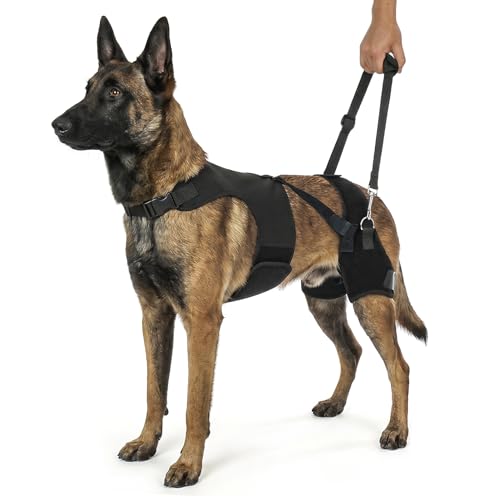 Dog Hip Dysplasia Brace with Back Lift Strap (M)