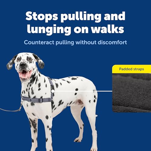 Easy Walk Deluxe Dog Harness (Large / Steel)