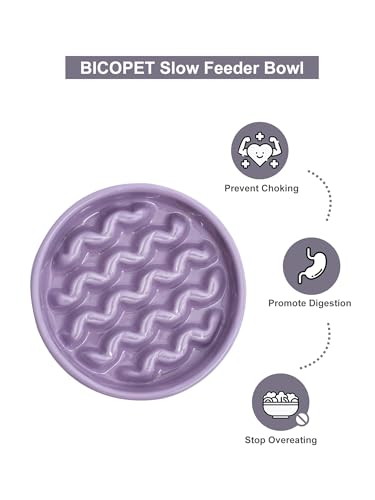 Ceramic Slow Feeder Dog Bowl (Macroni-Purple / Medium)