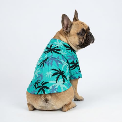 Hawaiian Coconut Palm Dog Shirt (Small / Coconut Palm)