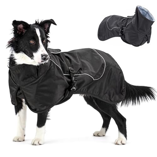 Waterproof Dog Raincoat (Black (Velvet Lining) / S)