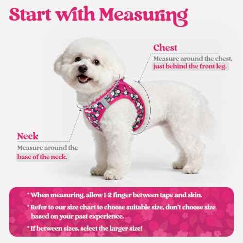 Dog Harness Small Sized and Leash Set (Pink Berry / S (chest: 15.1 - 16.5"))