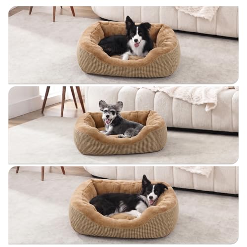 Small Dog Bed for Small Dogs (S PLUS (25"x21"x8") / Brown)