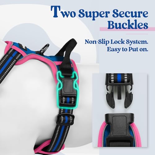 Dog Harness No Pull for Large Dogs with 2 Leash Clips (Large / Blue & Hot Pink)