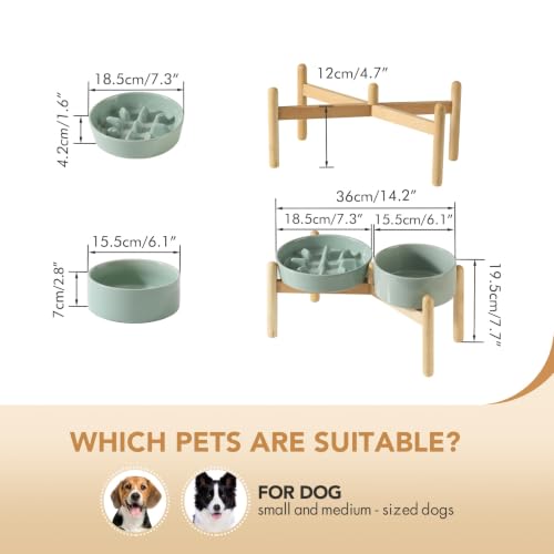 Elevated Slow Feeder Dog Bowls (Light Green)