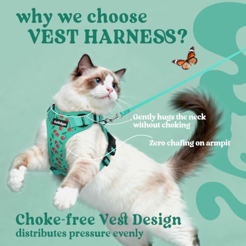 Cat Harness and Leash Set (S / Cherry Grove)