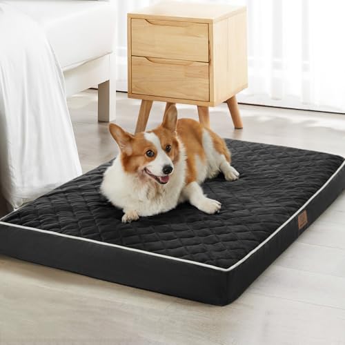Orthopedic Waterproof Large Sized Senior Dogs Bed for Comfy Sleep (black / 36"L x 27"W x 3"Th)