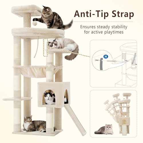 64.2" Heavy Duty Cat Tree for Large Cats with Wide Base HCT027M (64.2 inch / Beige)