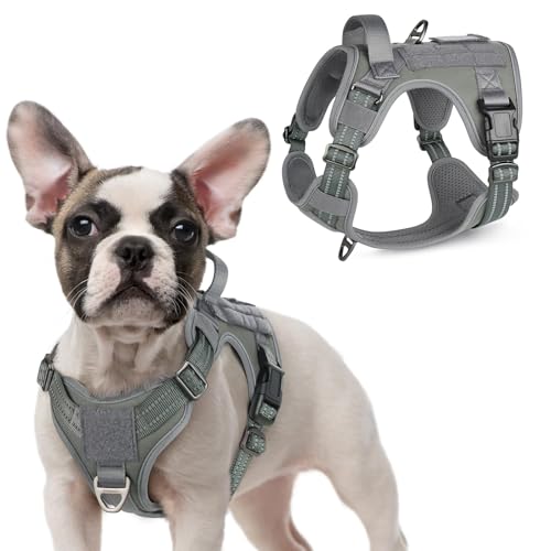 Tactical Dog Harness for Small (Grey / Small)