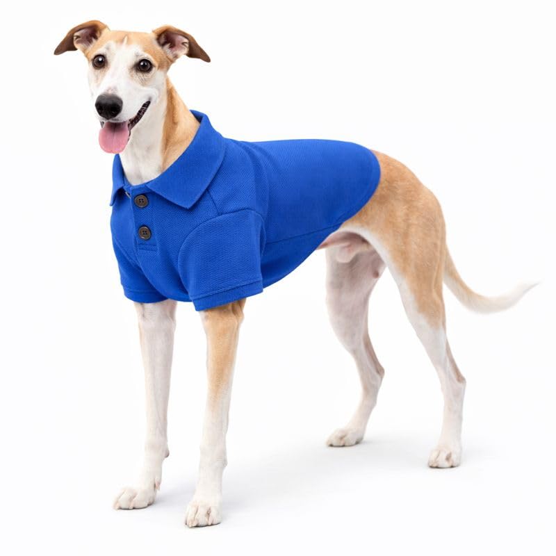 Basic Dog Polo Shirts Premium Cotton (XXL (-55lbs) / Blue)