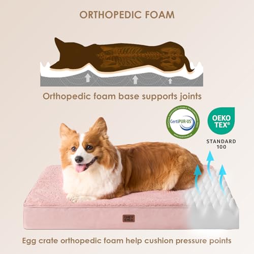 Orthopedic Dog Bed Large with Removable Washable Cover (36*27*3.5 inches / Pink)