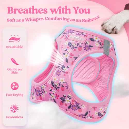 Dog Harness Small Sized and Leash Set (Pink Floral / S (chest: 15.1 - 16.5"))