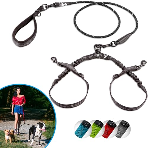 Double Dog Bungee Rope Leash for 2 Small Dogs (Black)