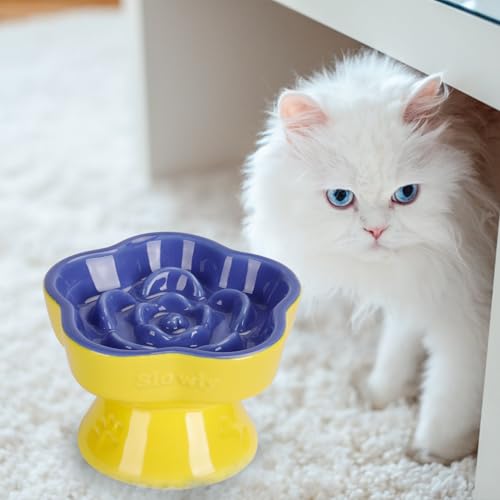 Raised Slow Feeder Cat Bowl (5.8" / Blue)