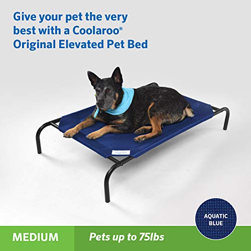 Original Elevated Dog Bed (Medium Dog Bed / Aquatic Blue)