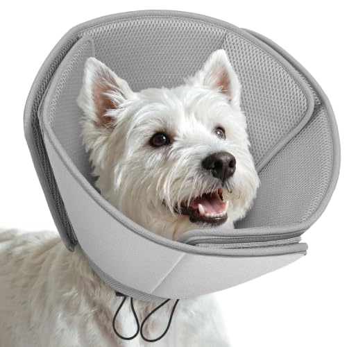 Soft Dog Cone Collar (Grey / Small)