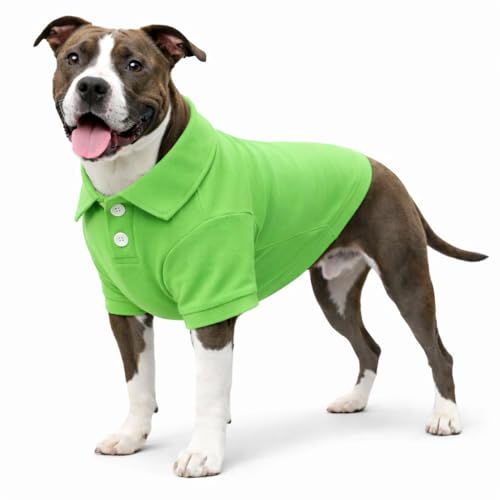 Basic Dog Polo Shirts Premium Cotton (L (-18lbs) / Green)