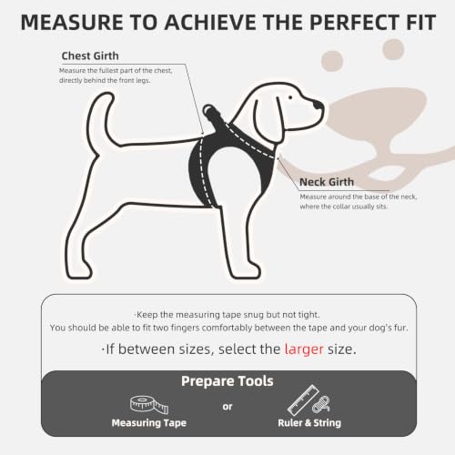 Dog Harness Collar and Leash Set No Pull for Small Medium Sized (Solid Black / M (CHEST 16"-18"))